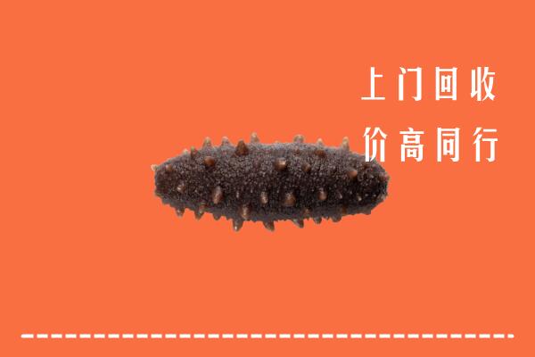 上海高价回收海参