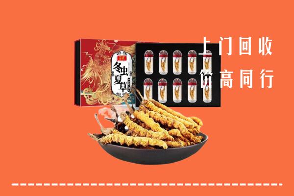 上海回收虫草